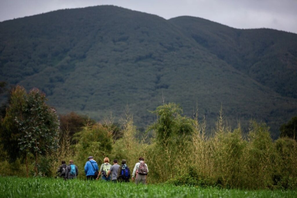 1. Kwitonda-Walking-and-hiking-in-volcanoes-national-park