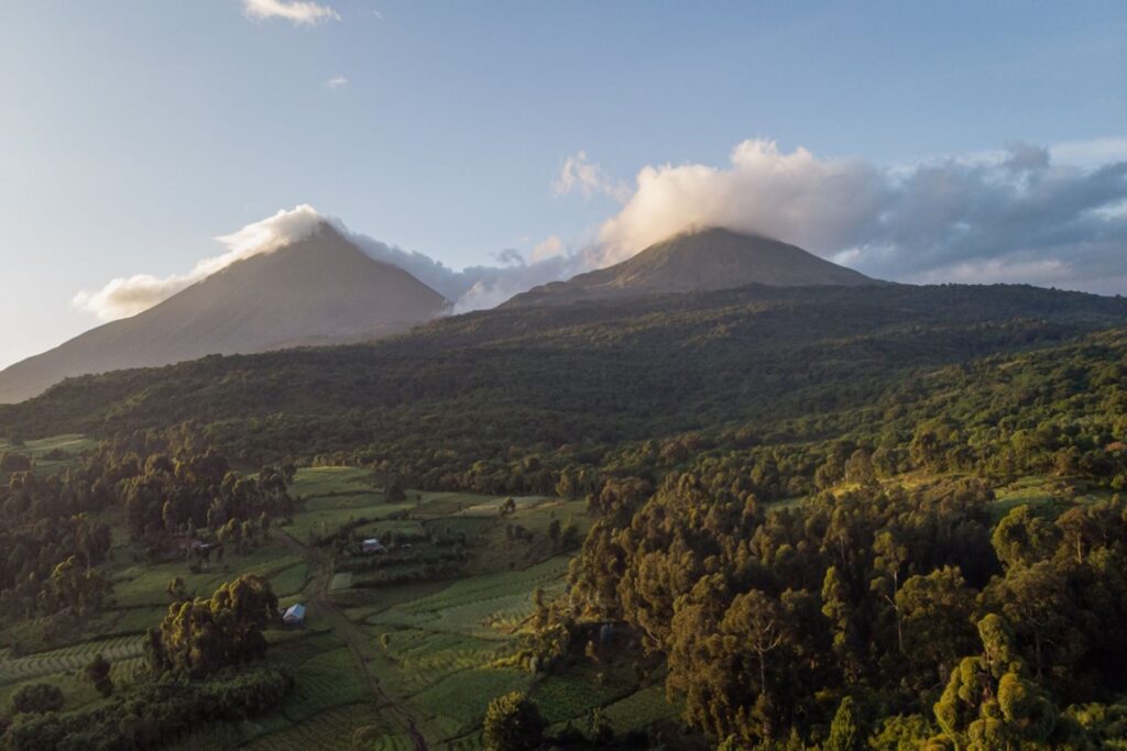 5. Best Pro Guide to Volcanoes National Park Rwanda