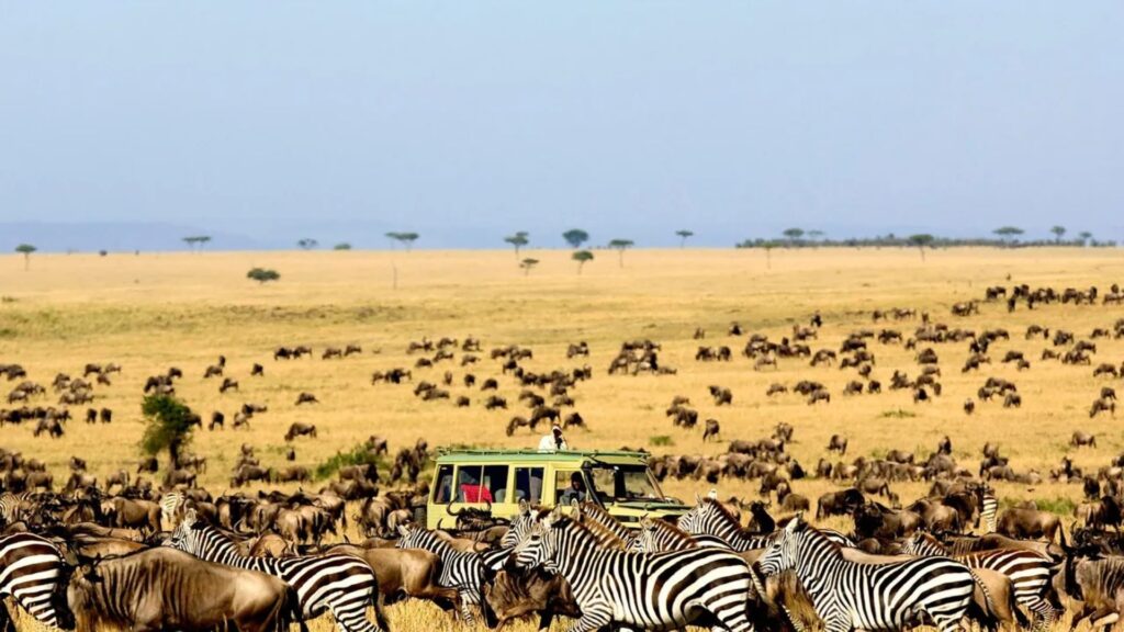 6. serengeti-national-park