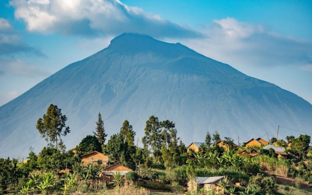 8. volcanoes-national-park-rwanda-tour