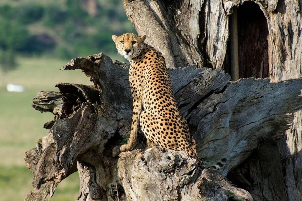 Kidepo Valley National Park
