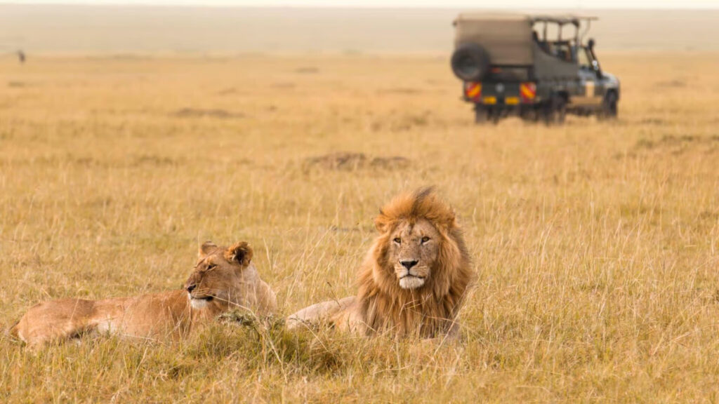maasai-mara