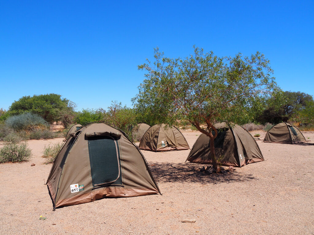 3 Days Etosha Park Guided Camping Namibia Safari