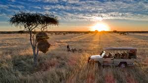 3 Days Namibia Budget Tour to Etosha National Park