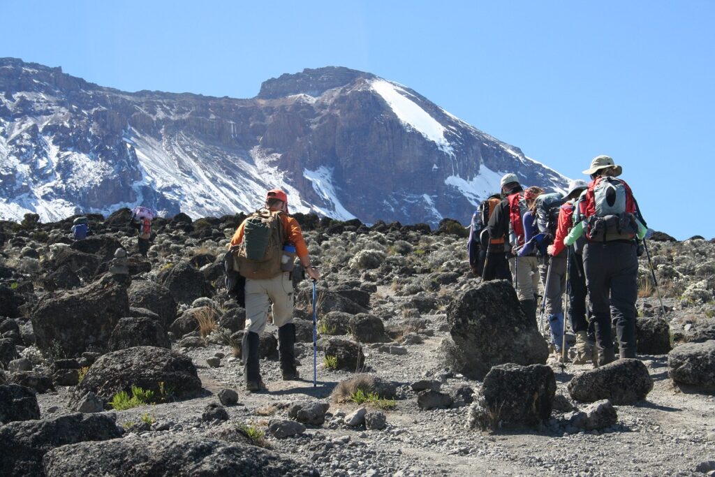 7 Days Kilimanjaro Hiking Tour and Etosha Namibia Safari