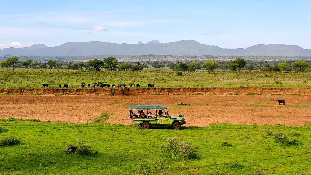 Best Things to Do in Kidepo Valley National Park