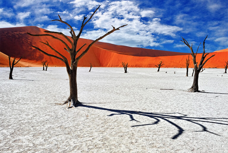 Deadvlei image