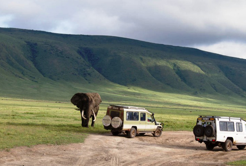 Ngorongoro-Crater-Safari