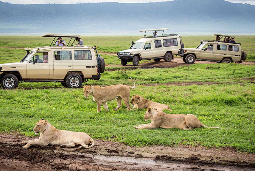 Ngorongoro