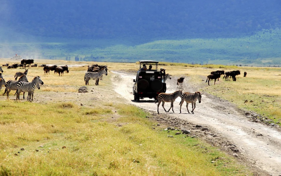 ngorongoro-Crater-tanzania-safari